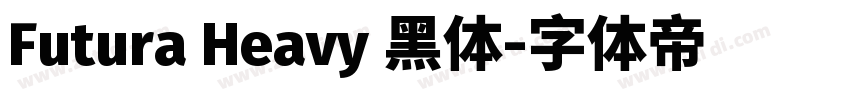 Futura Heavy 黑体字体转换